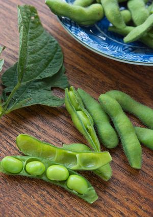 枝豆の正しい茹で方-レシピのメイン写真