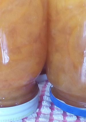 ブリタの夏みかんジャム-レシピのメイン写真