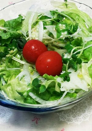 さっぱり☆塩サラダらーめん-レシピのメイン写真