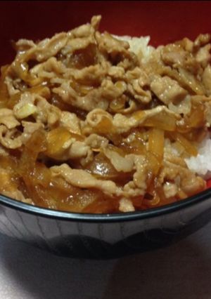 腸にやさしい豚丼-レシピのメイン写真