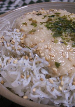 味噌+出汁で♪しらすとろろかけごはん-レシピのメイン写真