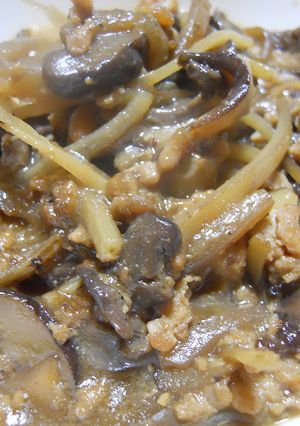 自然栽培 魁白肌牛蒡の鶏そぼろ煮-レシピのメイン写真