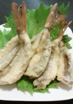 愛知の魚100選 ホウボウの天ぷら-レシピのメイン写真