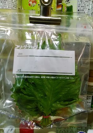 袋にひと工夫～大葉の保存方法-レシピのメイン写真