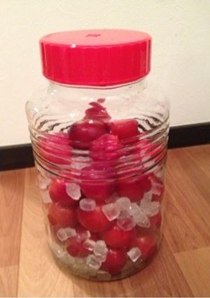 プラムジュース-レシピのメイン写真