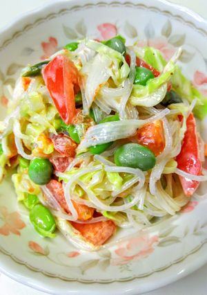 キャベツと枝豆の春雨サラダ-レシピのメイン写真