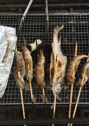 アマゴの炭火焼き-レシピのメイン写真