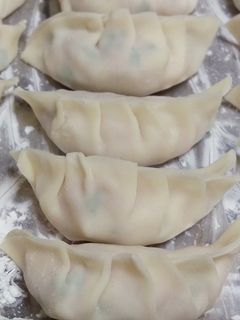 餃子の冷凍方法-レシピのメイン写真