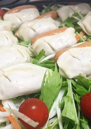 さっぱり美味しい！野菜たっぷり蒸し餃子-レシピのメイン写真