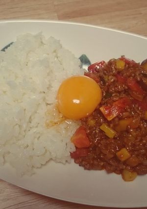 夏野菜のドライハヤシご飯☆-レシピのメイン写真