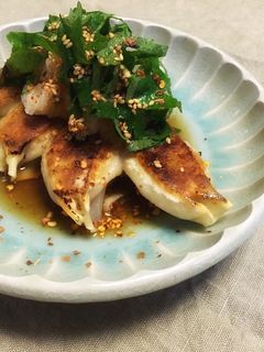 ♪さっぱりピリ辛!夏餃子♪-レシピのメイン写真