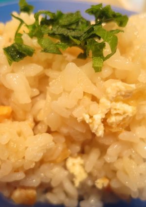 鮭あげご飯-レシピのメイン写真
