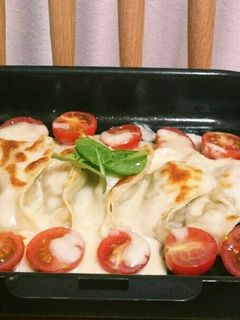 餃子イタリアーノ-レシピのメイン写真