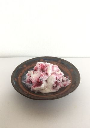 リンゴンベリーのフローズンヨーグルト-レシピのメイン写真