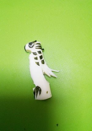 さいておいしいモッツァレラでおたかぽっぽ-レシピのメイン写真