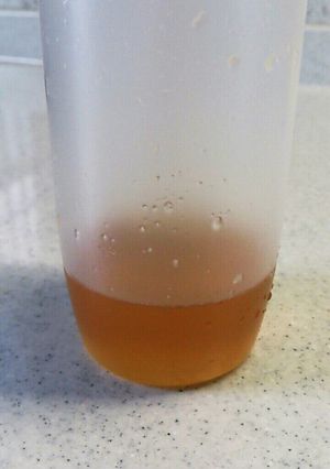 固まっちゃった蜂蜜！確実に復活するよ～ω-レシピのメイン写真