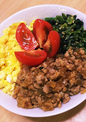 簡単絶品野菜たっぷり３色そぼろ丼-レシピのメイン写真