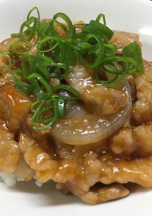 簡単子供激喜び♪豚肉と玉ねぎのチャップ丼-レシピのメイン写真