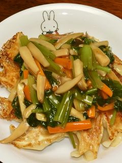 ボリュームたっぷり!餃子の野菜あんかけ-レシピのメイン写真