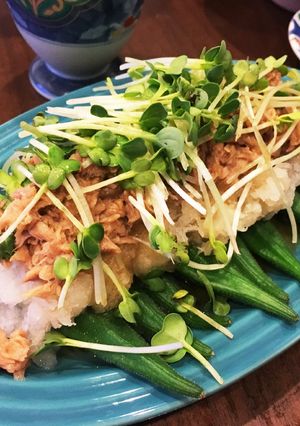 さっぱり簡単オクラとツナのおろしポン酢-レシピのメイン写真