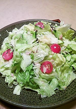野菜サラダ・何にでも合うドレ-レシピのメイン写真
