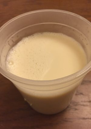 手作り豆乳とおから、豆乳マヨネーズ-レシピのメイン写真