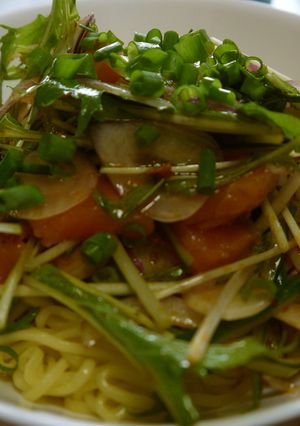 グリーンプレミアム0でサーモン冷し麺-レシピのメイン写真