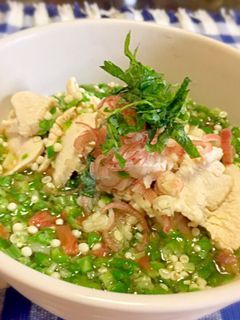 夏の定番!梅とオクラのとろろ冷やしうどん-レシピのメイン写真