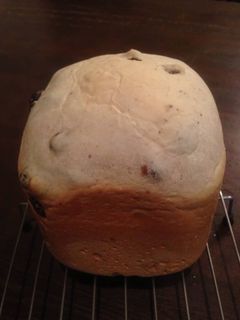 ふわふわしっとり牛乳レーズンパン HB-レシピのメイン写真