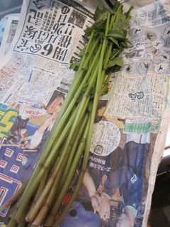 みずの下処理-レシピのメイン写真