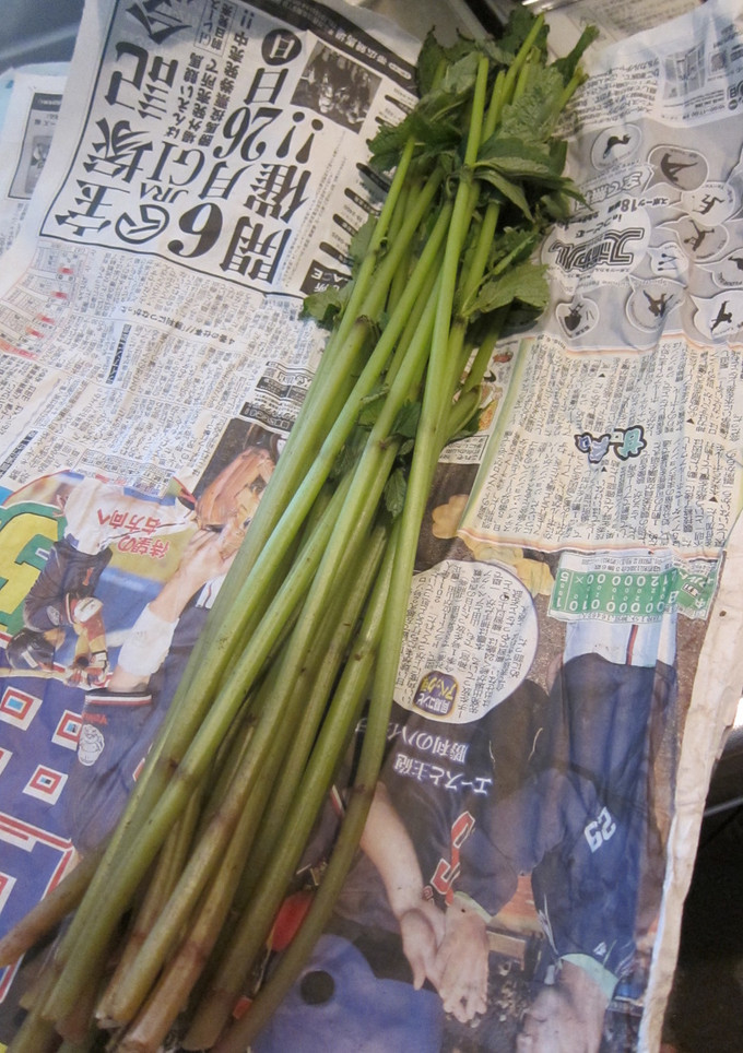 みずの下処理-レシピのメイン写真