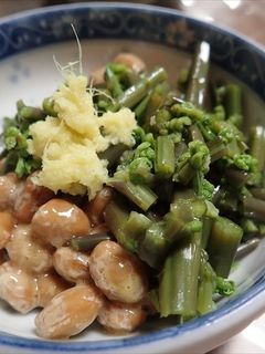 ワラビ納豆・ぬるぬるコラボ(^^)-レシピのメイン写真