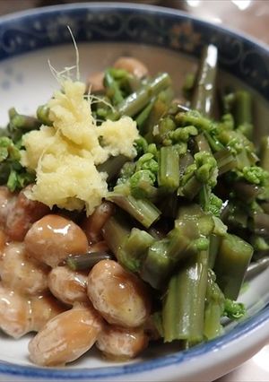 ワラビ納豆・ぬるぬるコラボ（＾＾）-レシピのメイン写真