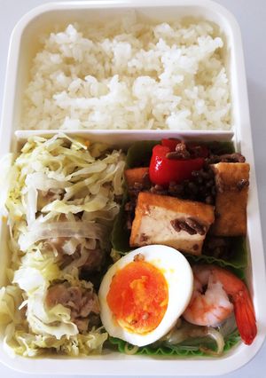 毎日男弁当⁂キャベツ焼売弁当-レシピのメイン写真