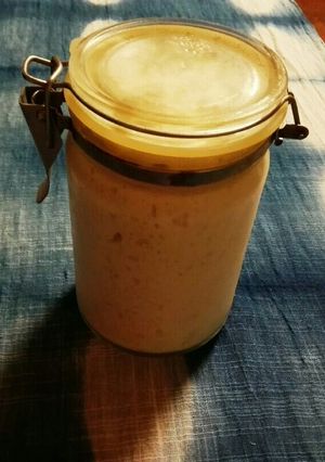レーズン酵母の液種、元種のおこし方-レシピのメイン写真