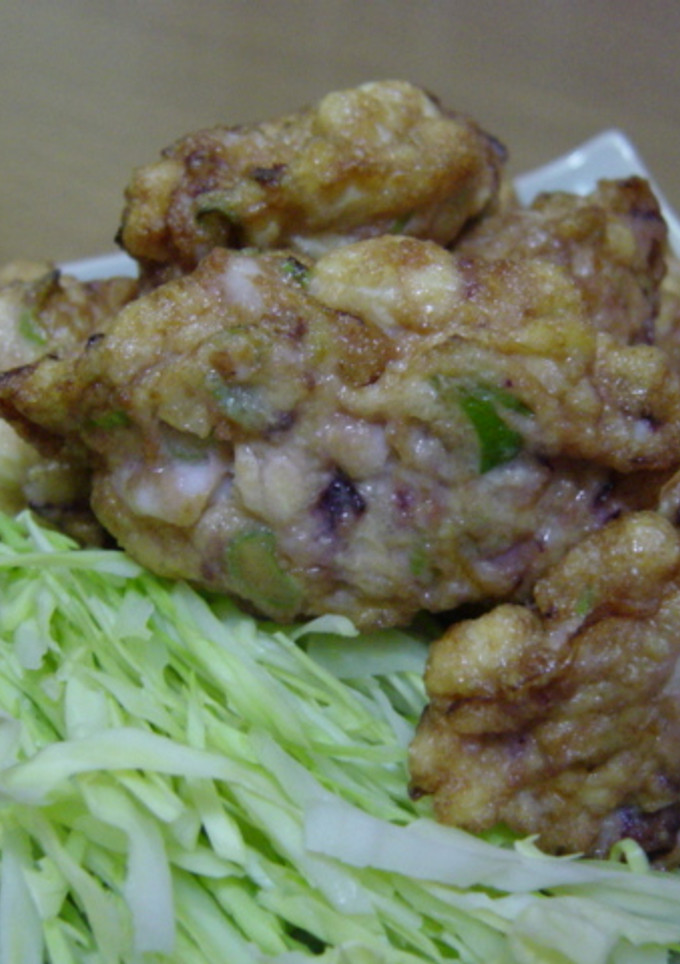 イカの小判揚げ-レシピのメイン写真