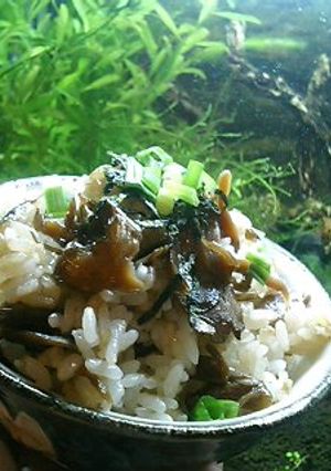 みんなきっと好きになる♪舞茸の混ぜご飯-レシピのメイン写真