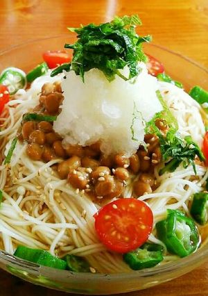 夏のネバネバ冷やし素麺☆納豆おろし添え-レシピのメイン写真