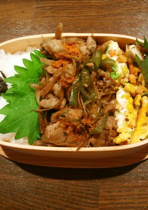 お弁当117-レシピのメイン写真