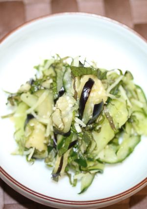 10分浅漬け-レシピのメイン写真