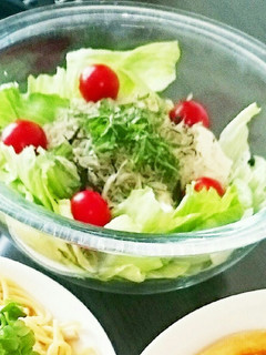 〖 覚書〗しらすと豆腐のサラダ-レシピのメイン写真