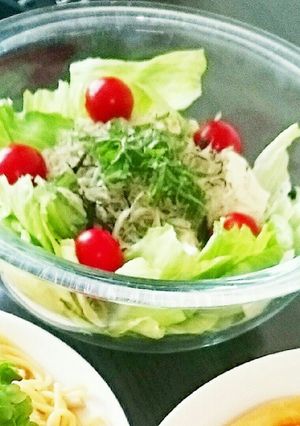 〖 覚書〗しらすと豆腐のサラダ-レシピのメイン写真