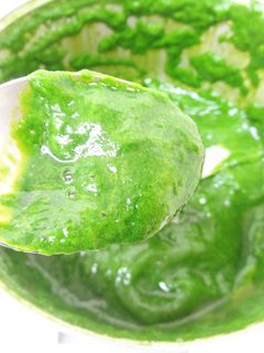 微粉砕機で野菜ペースト(小松菜)作り-レシピのメイン写真