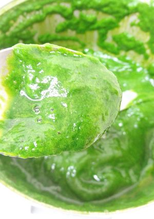微粉砕機で野菜ペースト（小松菜）作り-レシピのメイン写真