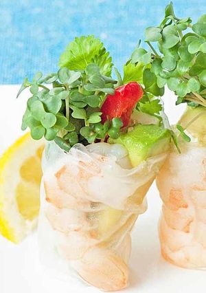 スプラウトのエスニック生春巻き-レシピのメイン写真