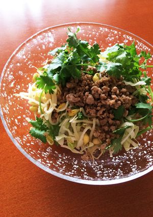 挽肉とパクチーのサラダ-レシピのメイン写真