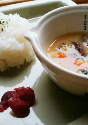 犬ご飯　ラムカレー？！-レシピのメイン写真