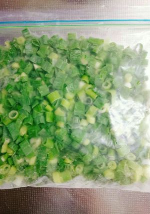 青ネギ◎冷凍保存-レシピのメイン写真