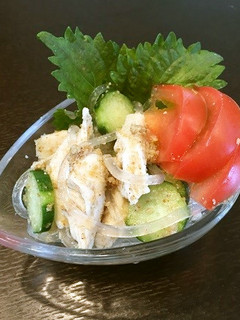葛きり・ササミでさっぱり胡麻酢和え-レシピのメイン写真