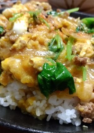 家計に優しい～揚げ玉とそぼろの卵とじ丼～-レシピのメイン写真